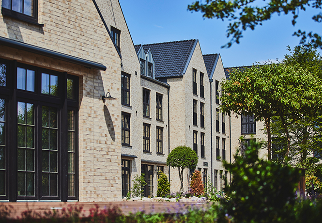 Schirmbäume vor einem modernen Gebäudefront